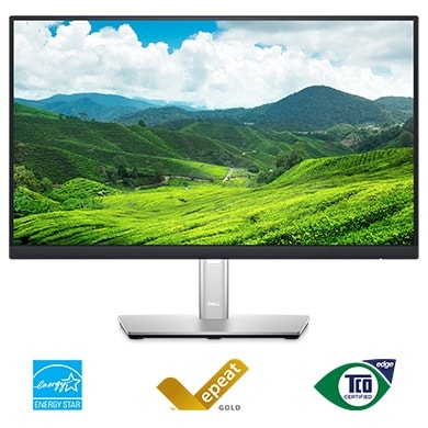 Dell 24" Monitor (P2422H) -